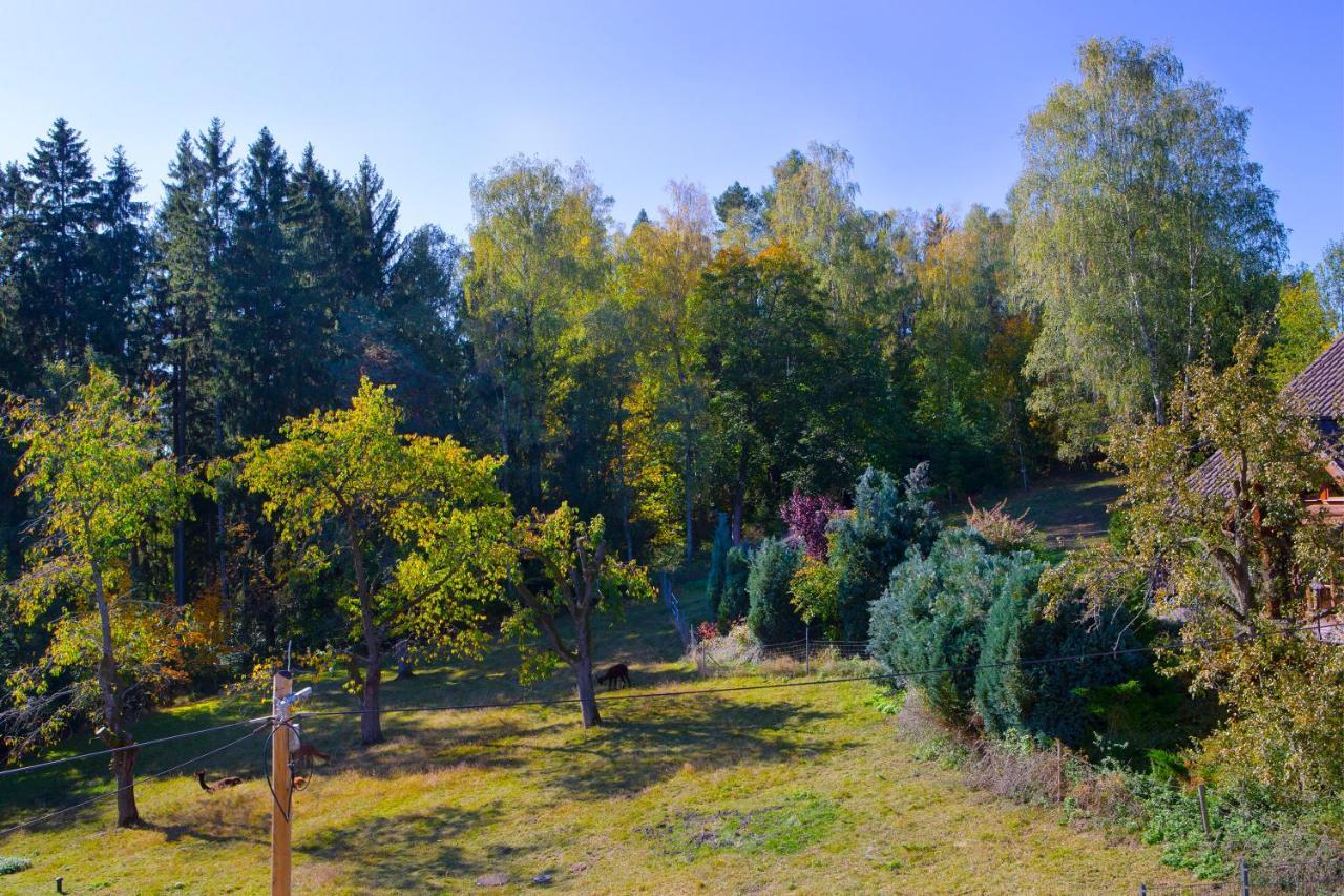 Haus Fürstenberg Beierfeld Exterior foto